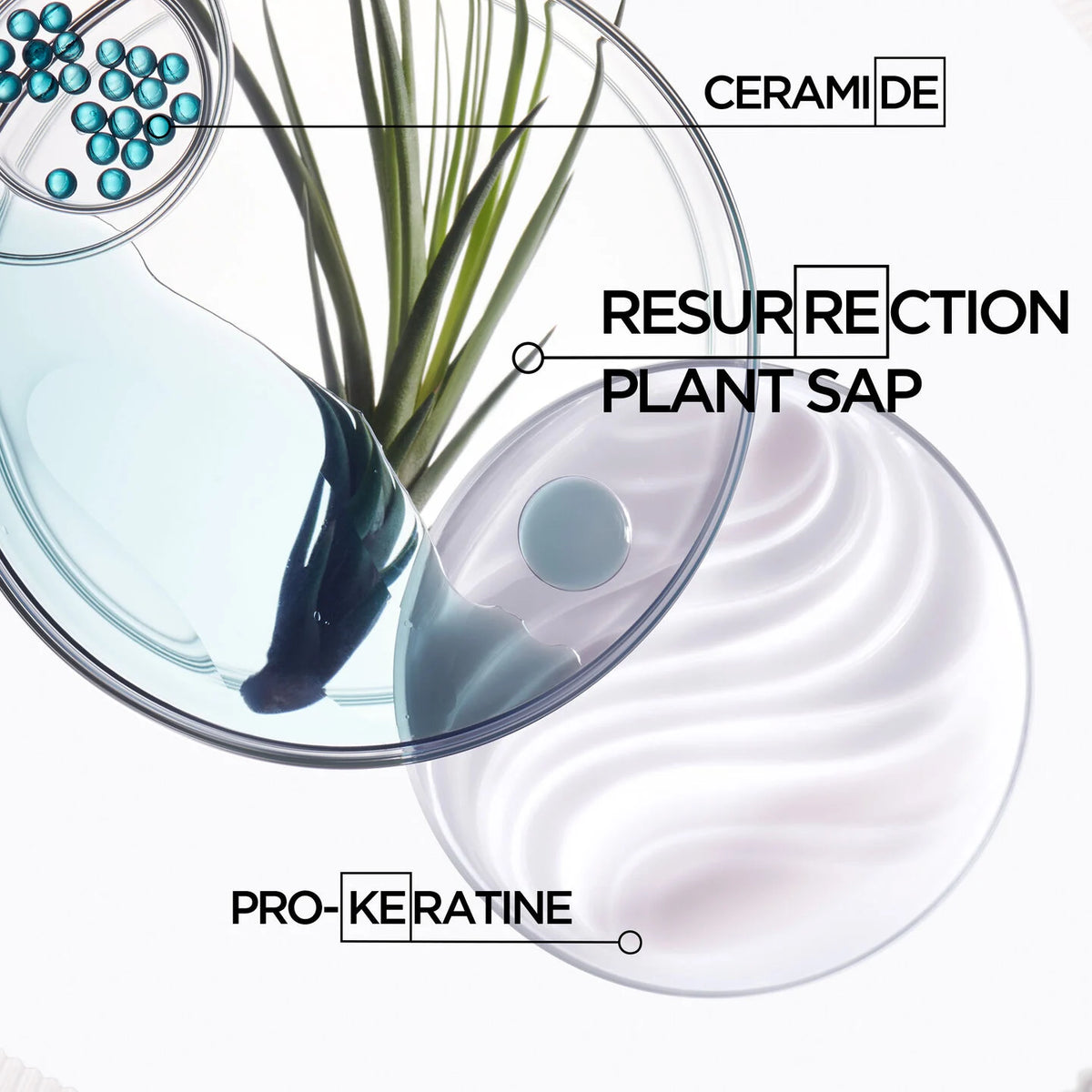 Résistance Bain Force Architecte Shampoo